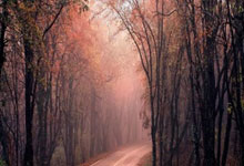 探索8x8x海角天涯社区的神奇生活！