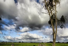 探索卫彦明天涯社区的奇妙世界