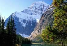 探索天涯社区在线网站：一个温暖的网络大家庭，充满了有趣的讨论和真实的互动！