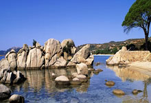 探索卫彦明天涯社区的奇妙世界